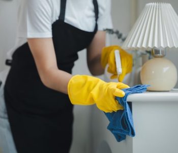 housekeeper-cleaning-furniture-h housekeeper-cleaning-furniture-h